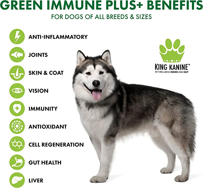 Green Immune Plus+ Super Food with Multivitamins & Minerals! - KING KOMB