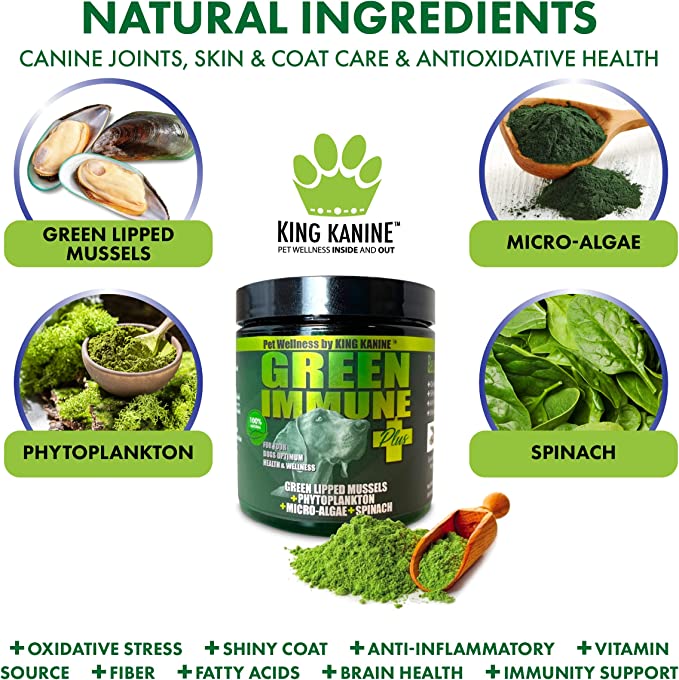 Green Immune Plus+ Super Food with Multivitamins & Minerals! - KING KOMB