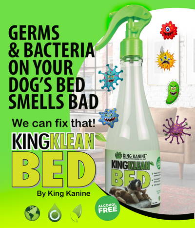 King Klean™ Pet Bed Spray - KING KOMB