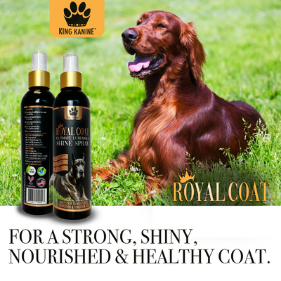 NEW! Royal Coat Ultimate Luxurious SHINE SPRAY for Dogs - KING KOMB