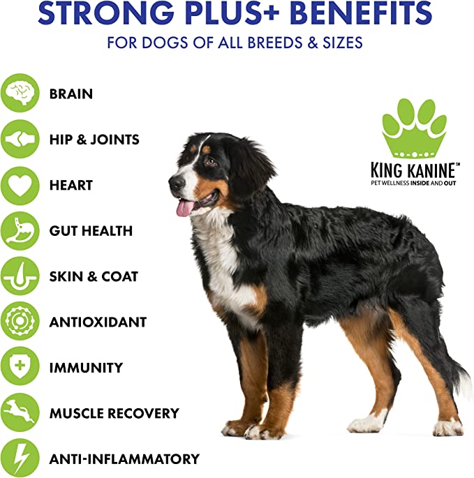 NEW! Strong Plus+ Probiotic, Protein, & Joints - KING KOMB