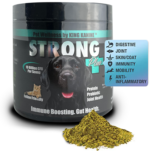 NEW! Strong Plus+ Probiotic, Protein, & Joints - KING KOMB